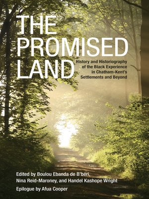 cover image of The Promised Land